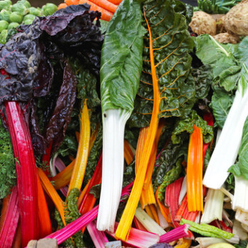 Swiss chard